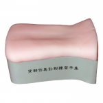 背部仿真針刺練習(xí)平臺