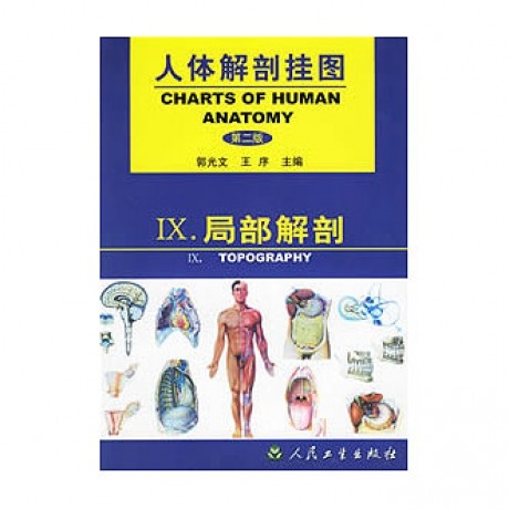 《人體解剖掛圖》-局部解剖掛圖（67張）