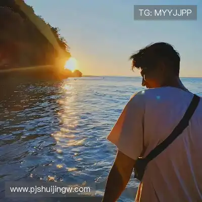 解泽畅